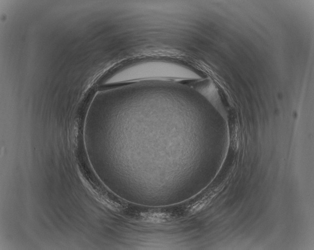 X0000083040448200702161710