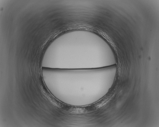 X0000083040449200702161710