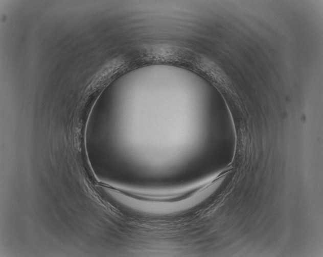 X0000083040450200702161710