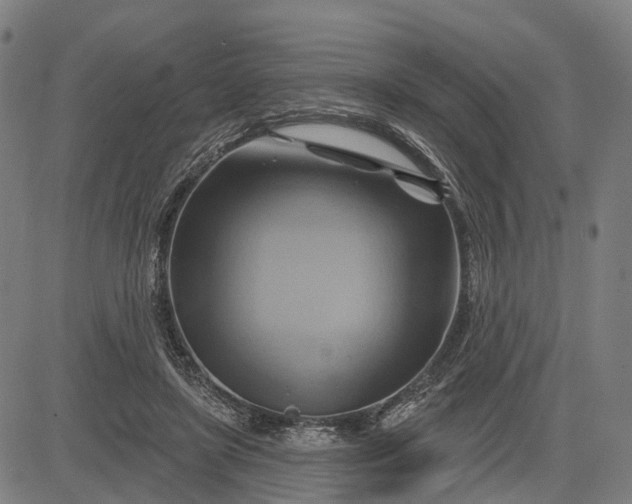 X0000083040451200702161710