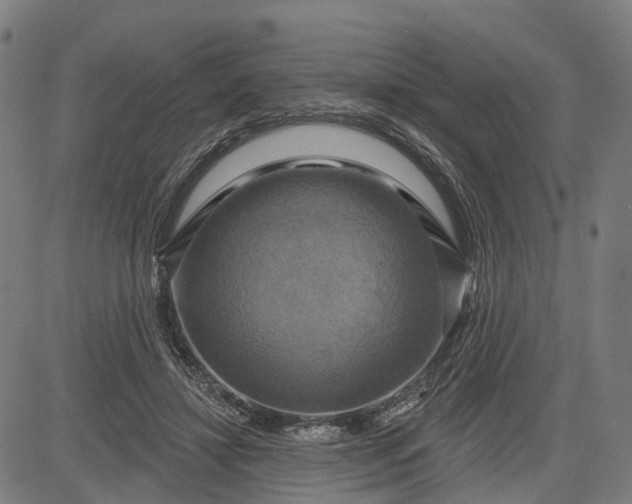 X0000083040452200702161710