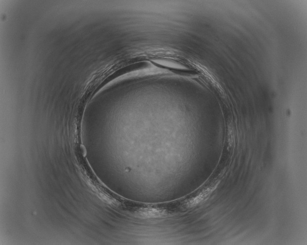 X0000083040453200702161710