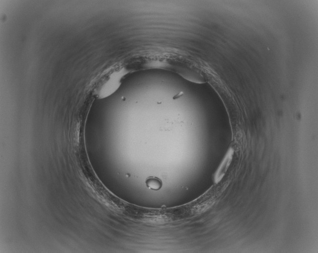 X0000083040454200702161711