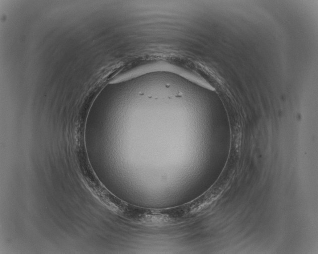 X0000083040455200702161711