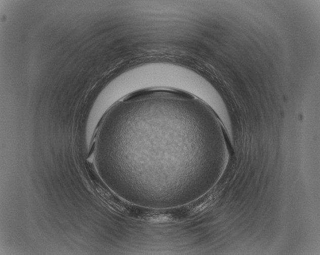 X0000083040456200702161711