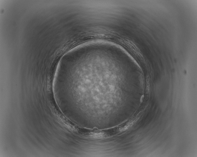 X0000083040457200702161711