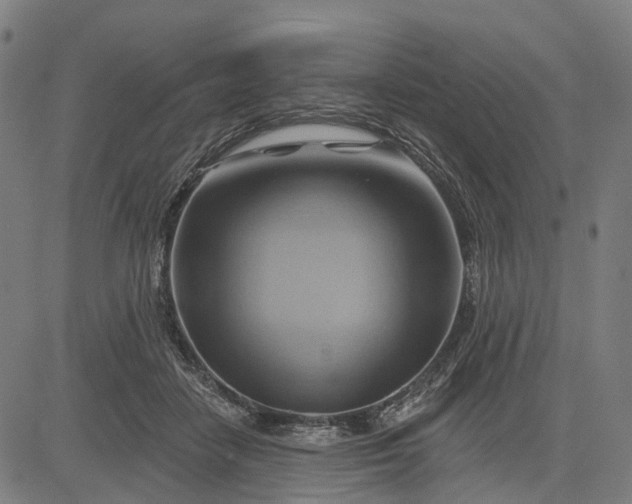 X0000083040458200702161711