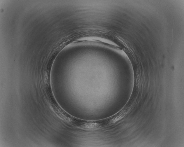 X0000083040459200702161711