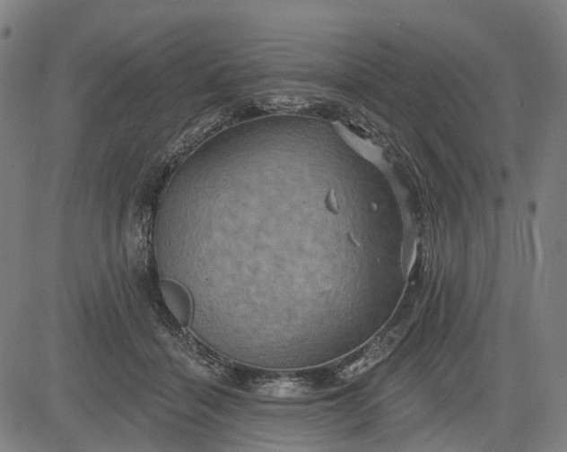 X0000083040460200702161711