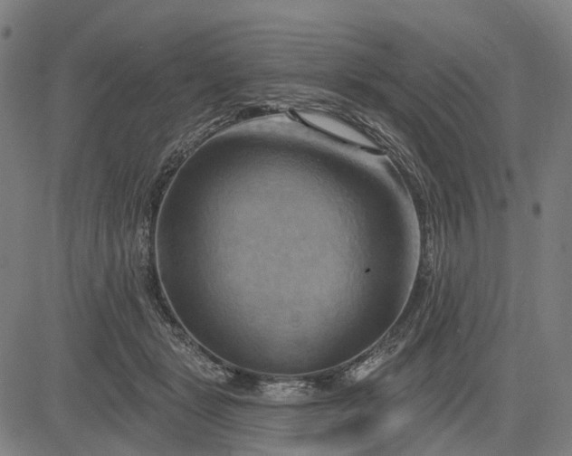 X0000083040461200702161711