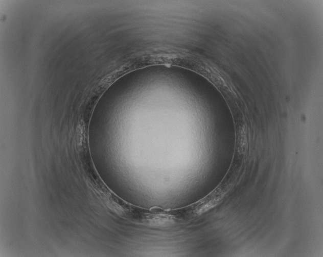 X0000083040463200702161711