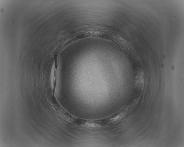 X0000083040464200702161711