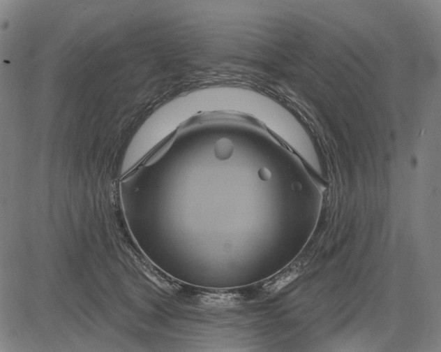 X0000083040465200702161711