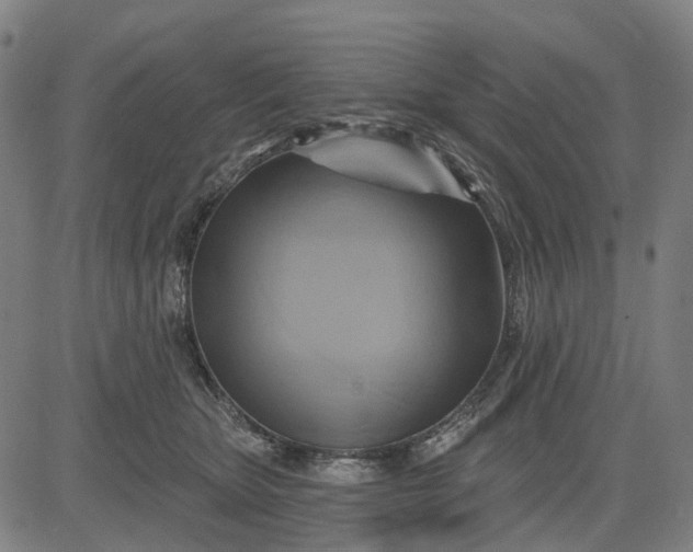 X0000083040467200702161711