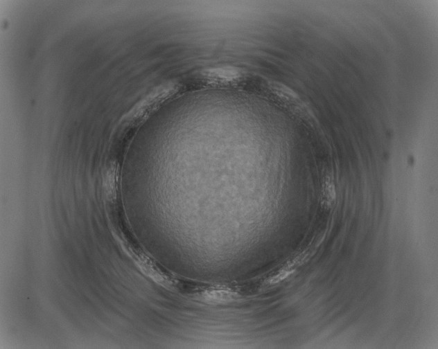 X0000083040468200702161711