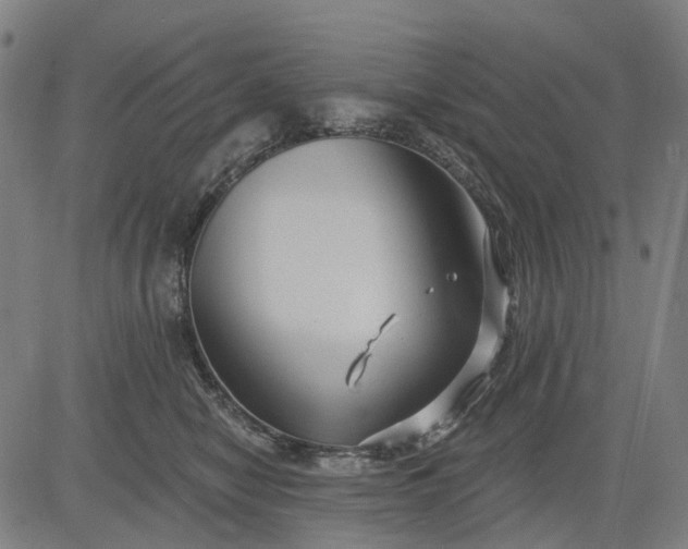 X0000083040470200702161711