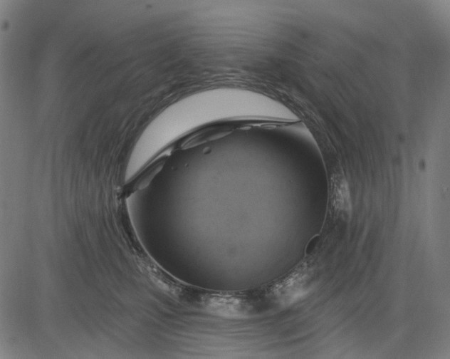 X0000083040471200702161711