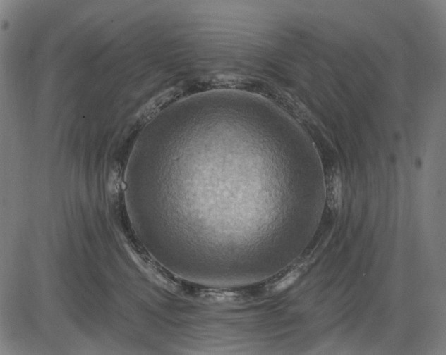 X0000083040472200702161711