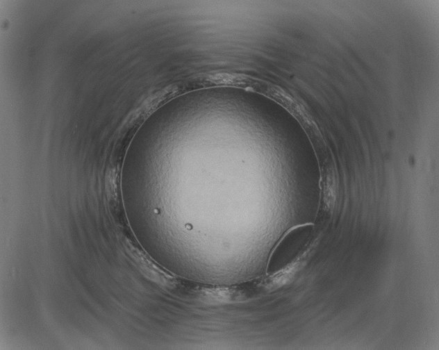 X0000083040473200702161711