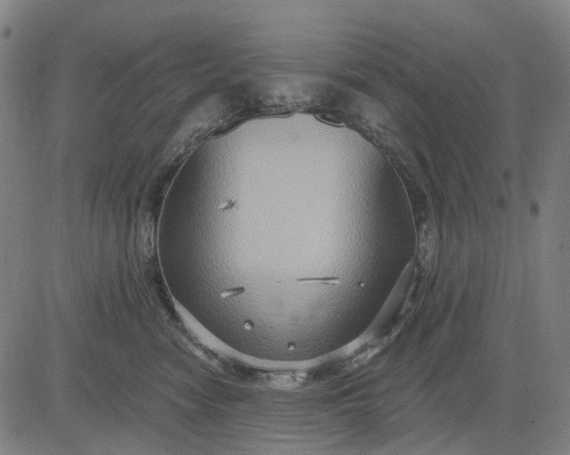 X0000083040474200702161711