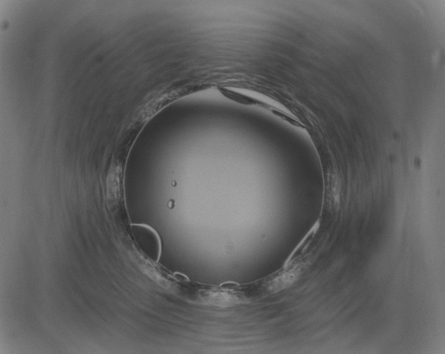 X0000083040475200702161711