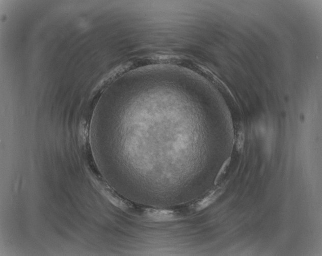 X0000083040476200702161711