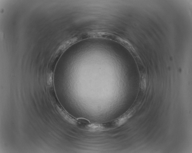 X0000083040477200702161711