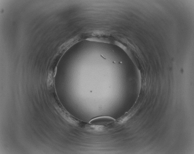 X0000083040478200702161711