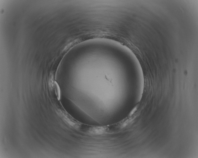 X0000083040479200702161711