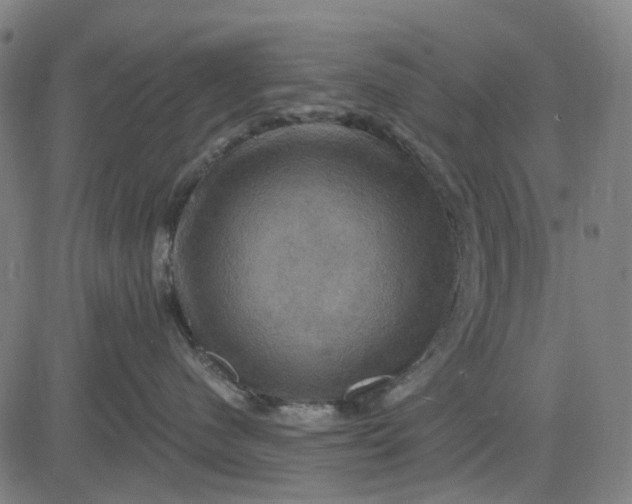 X0000083040480200702161711