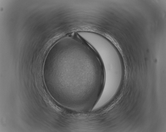 X0000083040481200702161710