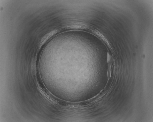 X0000083040482200702161710