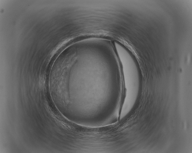 X0000083040483200702161710