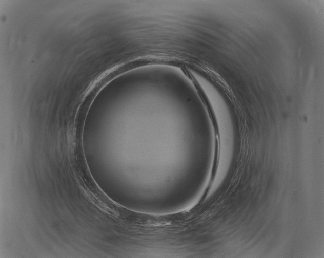 X0000083040484200702161710