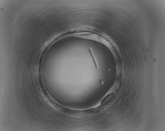 X0000083040485200702161710