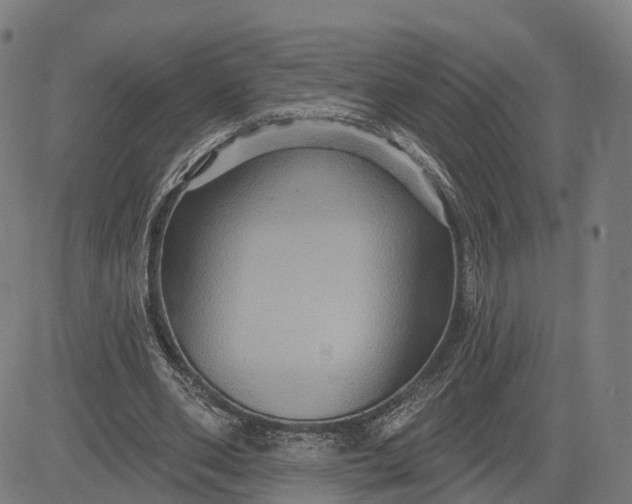 X0000083040486200702161710