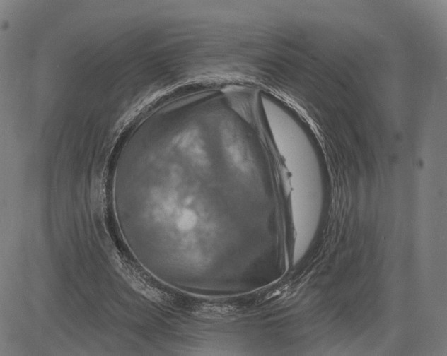 X0000083040487200702161710