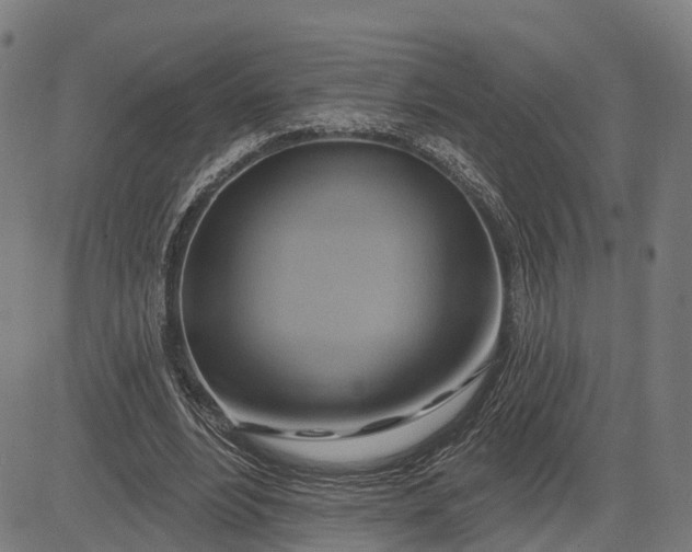 X0000083040488200702161710