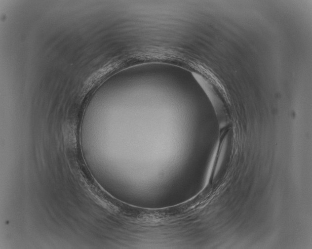 X0000083040489200702161710