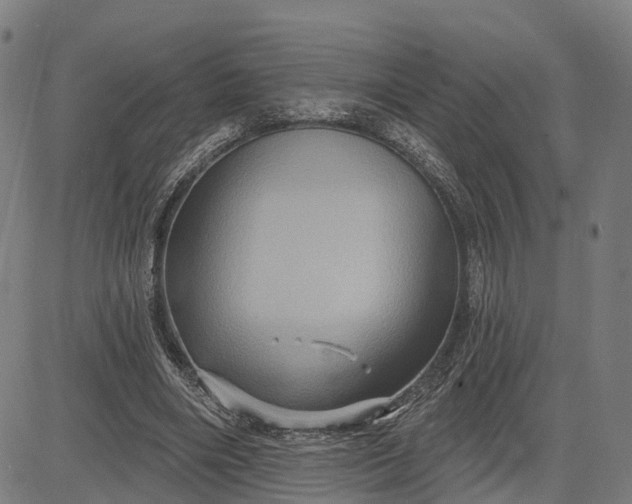 X0000083040490200702161710