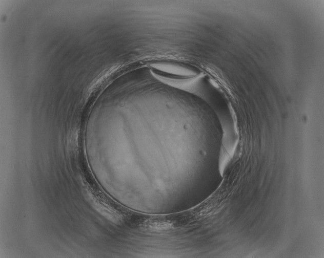 X0000083040491200702161710