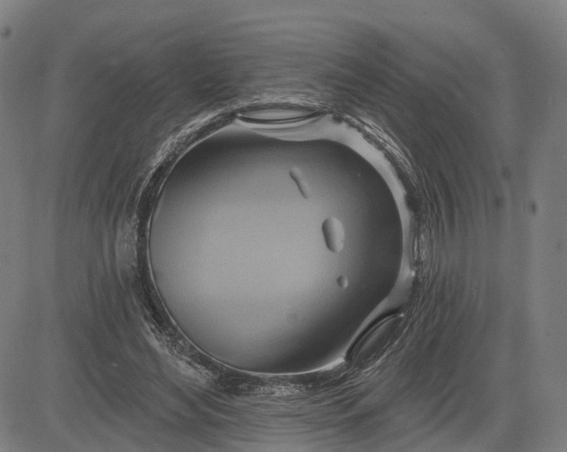 X0000083040492200702161710