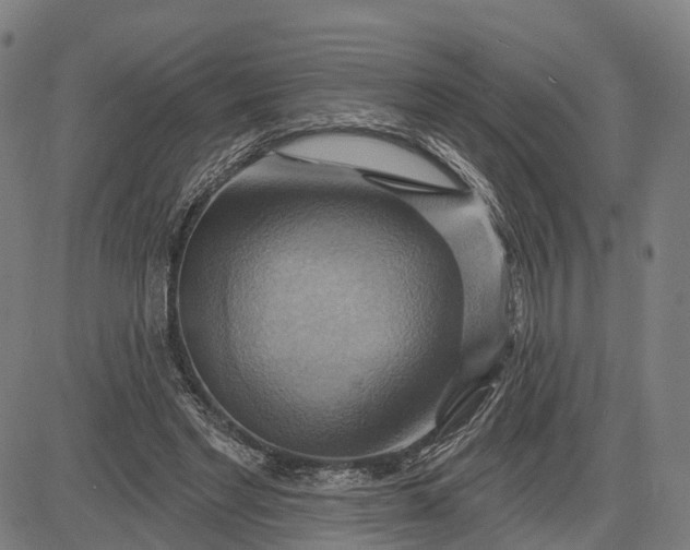 X0000083040493200702161710