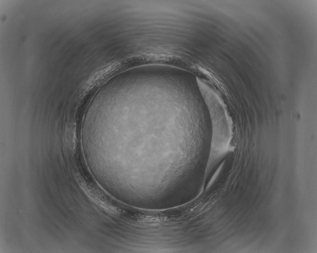 X0000083040494200702161710