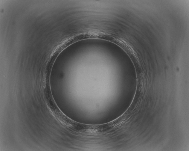 X0000083040496200702161710