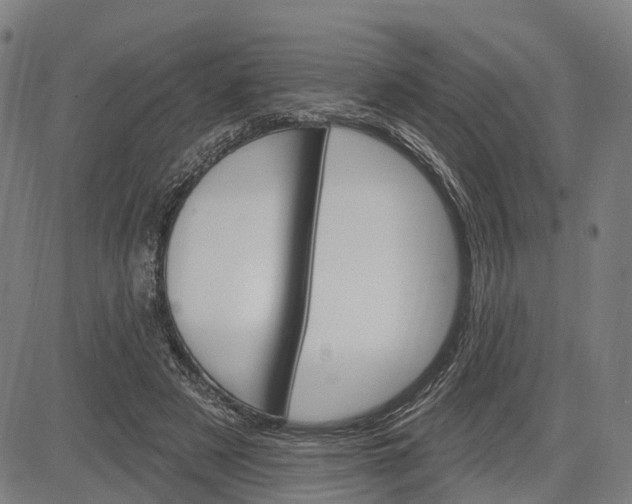 X0000083040497200702161710