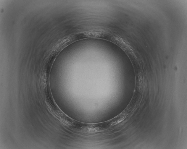 X0000083040498200702161710