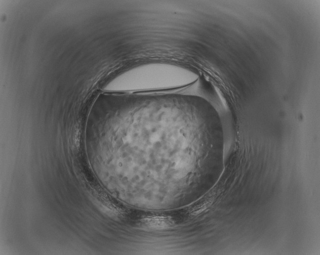 X0000083040499200702161710