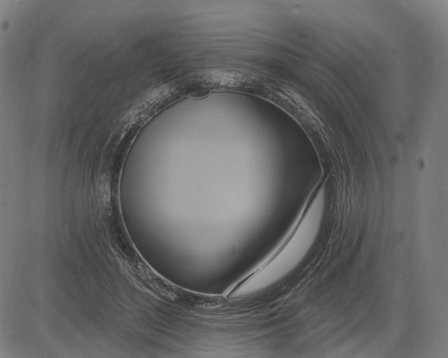 X0000083040500200702161710