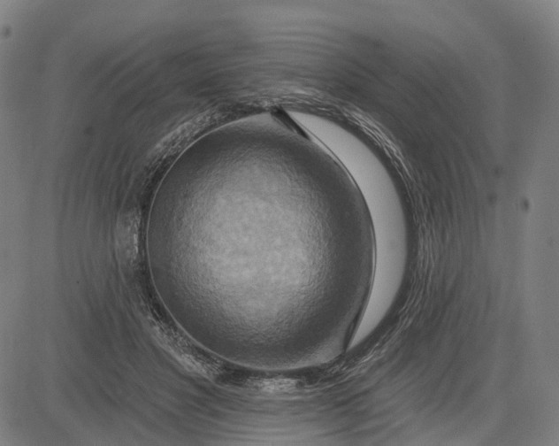 X0000083040501200702161710